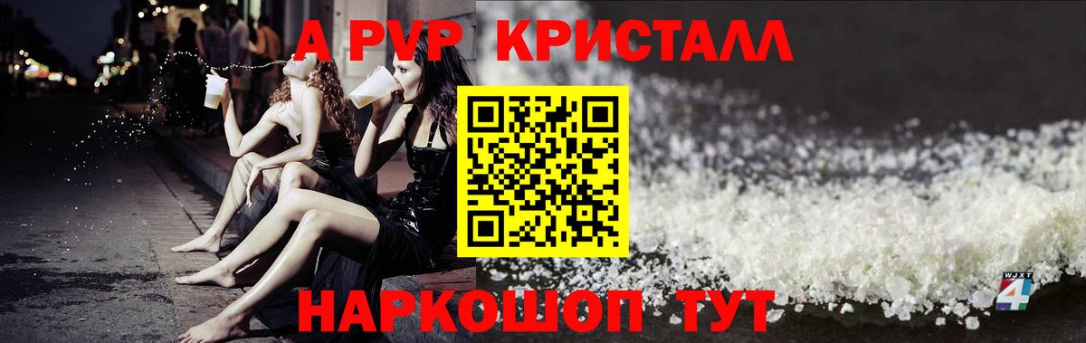 Альфа ПВП СК КРИС Владикавказ