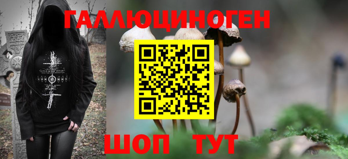 Владикавказ  Галлюциногенные грибы MAGIC MUSHROOMS  Вход с VPN  купить  сайты  Псилоцибиновые грибы Cubensis 